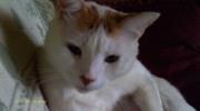 Robert T Wright's Photo