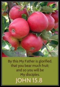 Peter Prolix's Photo