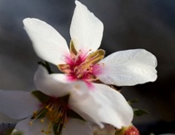 Carlo Raath's Photo