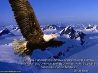 samuel vazquez's Photo