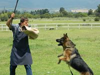 Jan Combrink's Photo