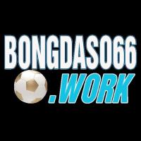 bongdaso66work's Photo