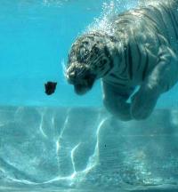 Abraham Padilla's Photo