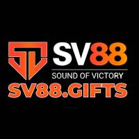 sv88gift's Photo