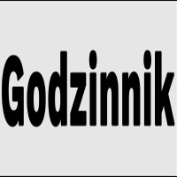 God zinnik's Photo