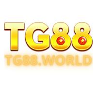 tg88world's Photo