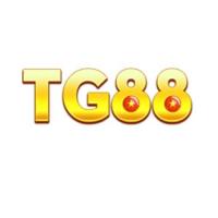 tg88run's Photo
