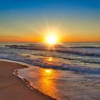 harry margan's Photo
