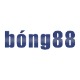 bong88coachvn2's Photo