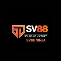sv88ninja's Photo