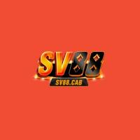 sv88cab's Photo