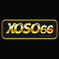xoso6602's Photo