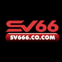 sv666cocom's Photo