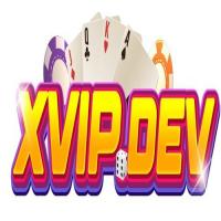 xvipdev's Photo