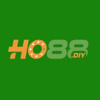 ho88diy's Photo