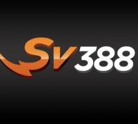 sv388jpnet's Photo