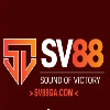 sv88gacom7's Photo