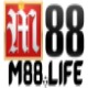 m88life's Photo