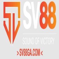 sv88ga's Photo