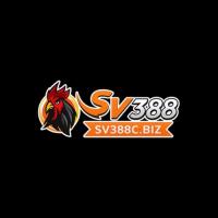 sv388cbiz's Photo
