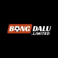bongdalusystems's Photo