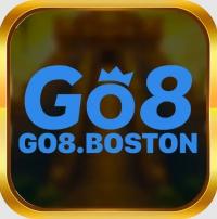 go8boston's Photo