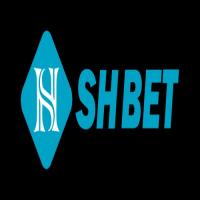 Shbet122one's Photo
