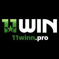 11winnpro's Photo