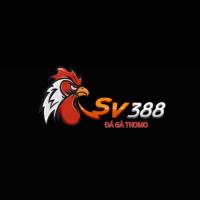 sv388vnpromo's Photo