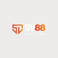 sv88usorg's Photo