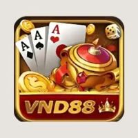 vnd88casino1's Photo