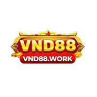 vnd88work's Photo