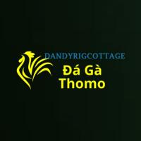 dagadandy's Photo