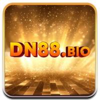 dn88bio's Photo