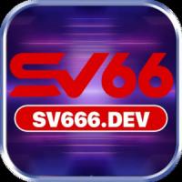 sv666dev's Photo