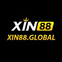 xin88global1's Photo