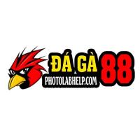 daga88photo's Photo
