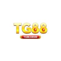tg88meme's Photo