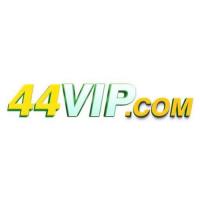 44vipcombr's Photo