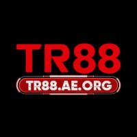 tr88aeorg's Photo