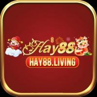 Hay88living's Photo