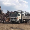 dichvuphelieu's Photo