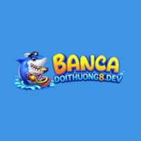 bancadoithuong8dev's Photo