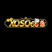 xoso66nexus1's Photo