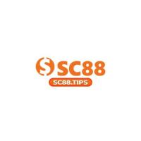 sc88tips's Photo