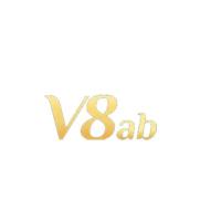 v8abitcom's Photo
