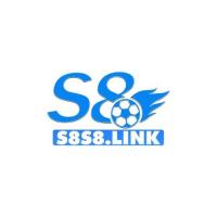 s8s8link's Photo