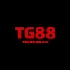 tg888gbnet's Photo