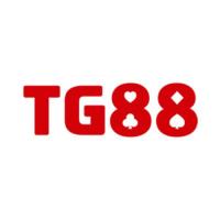 tg88combiz's Photo