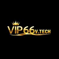 vip66vtech's Photo
